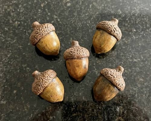 3. Acorn Keepsake Pocket Stones