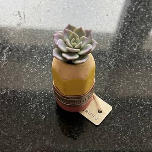 3. Pencil Cup Mini Planter for Succulents