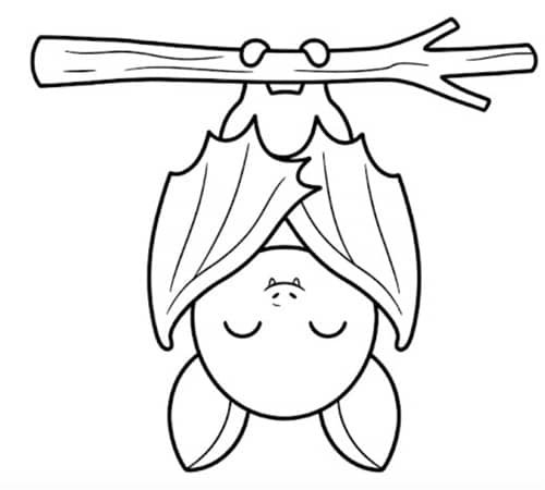 3. Sleeping Baby Bat Hanging Upside Down