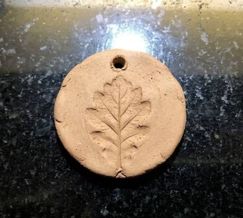 4. Botanical Fossil Medallion