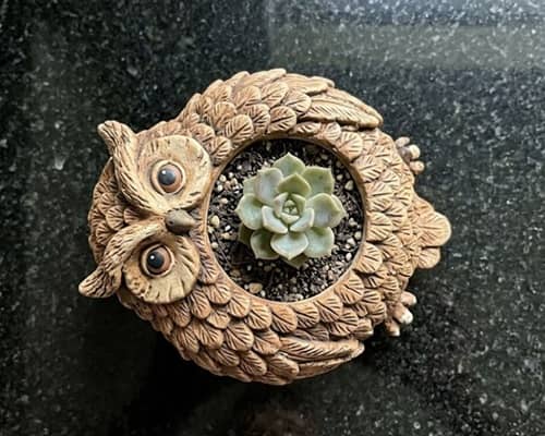 5. Vintage Barn Owl Moss Planter