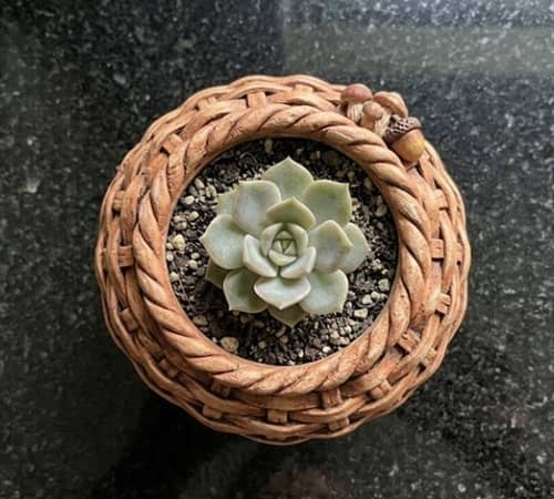 7. Twisted Grapevine Harvest Basket Planter