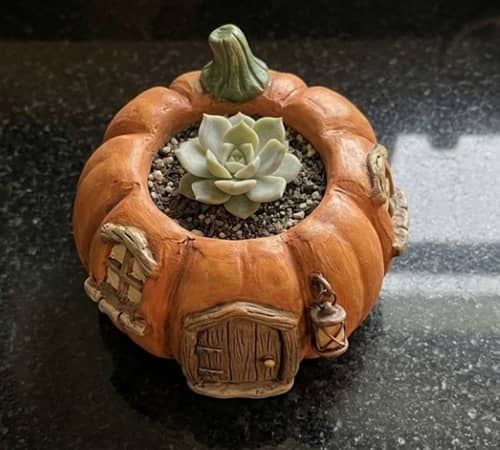 8. Cozy Pumpkin Cottage Lantern Planter