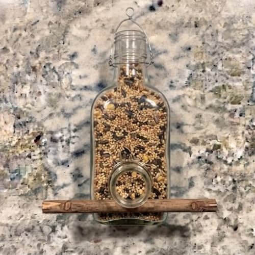 9. Bottle Bird Feeder