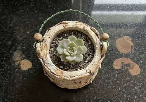 9. Rustic Birch Tree Bark Planter