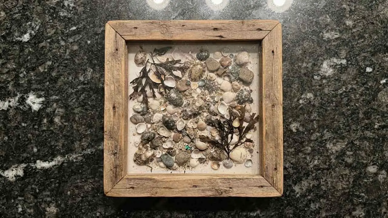 Seashell Picture Frames - featured