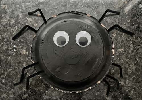 Step 3 - Give Your Spider a Face