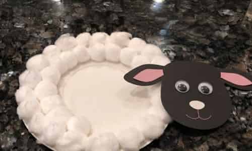 Step 3 - Make the Sheeps Face