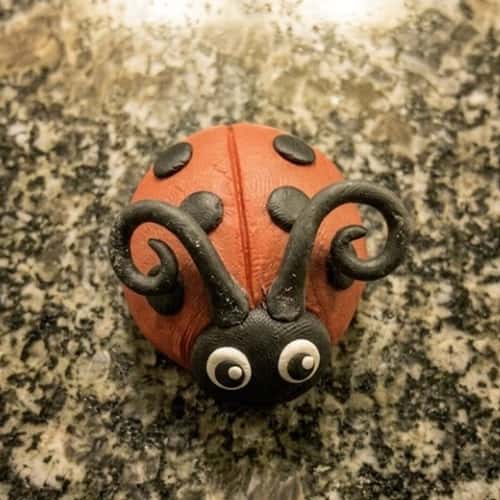 Step 6 - Add the Eyes and Antennae