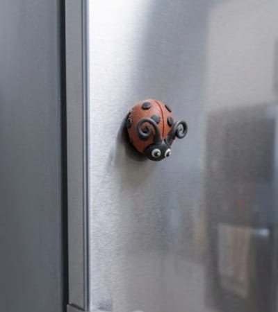Step 9 - Admire Your Finished Clay Ladybug Magnet