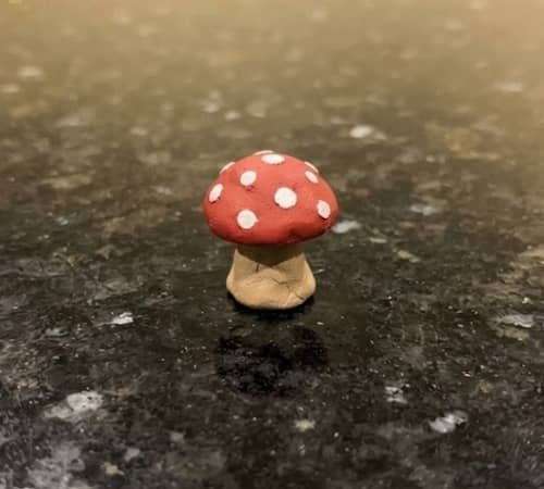 1. Tiny Mushroom With a Spotted Cap