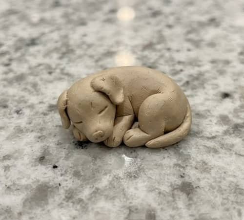 10. Tiny Sleeping Puppy