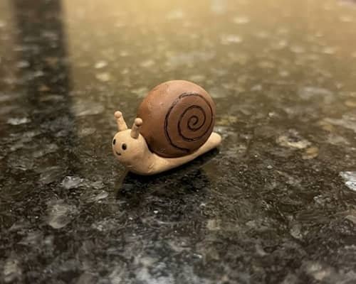 3. Little Clay Snail