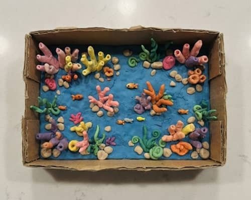 4. Underwater Coral Reef Box