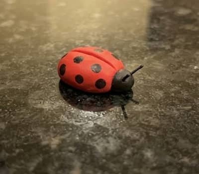6. Tiny Clay Ladybug