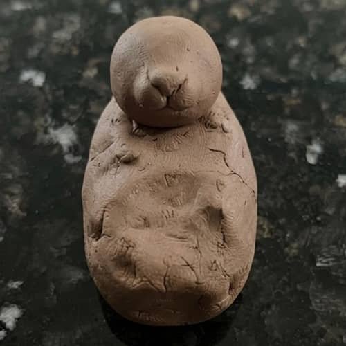 Step 2 - Shape the Squirrels Head