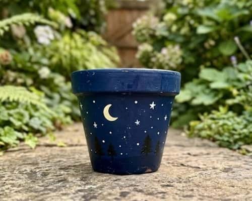 10. Christmas Night Sky Pot