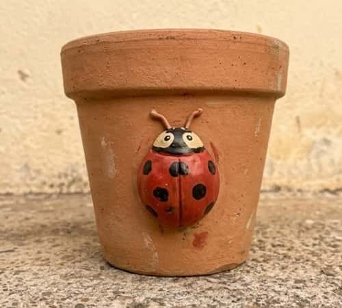 4. Clay Ladybug Garden Pot