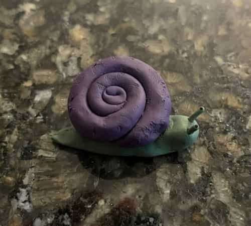 5. Purple Clay Snail