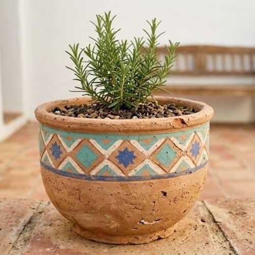 6. Moorish Tile Inspired Clay Planter